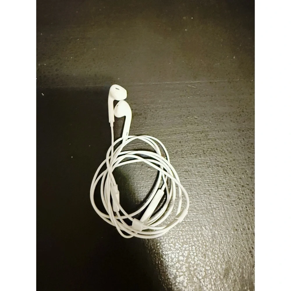 Apple Lightning Connector Charger and Earbuds Bundle